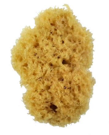 ROYAL 2006 3" SEA WOOL SPONGE