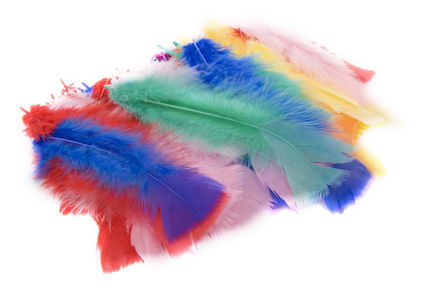 45pc FEATHERS ASSORTED COLOURS