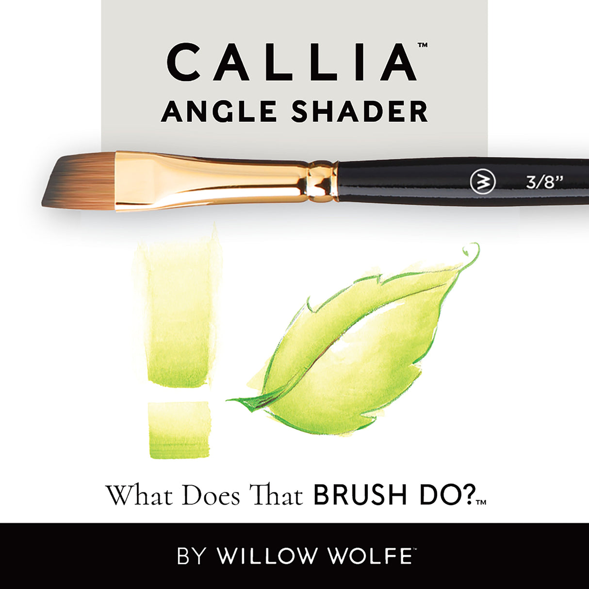 WILLOW WOLFE CALLIA Angle Shader 1/8