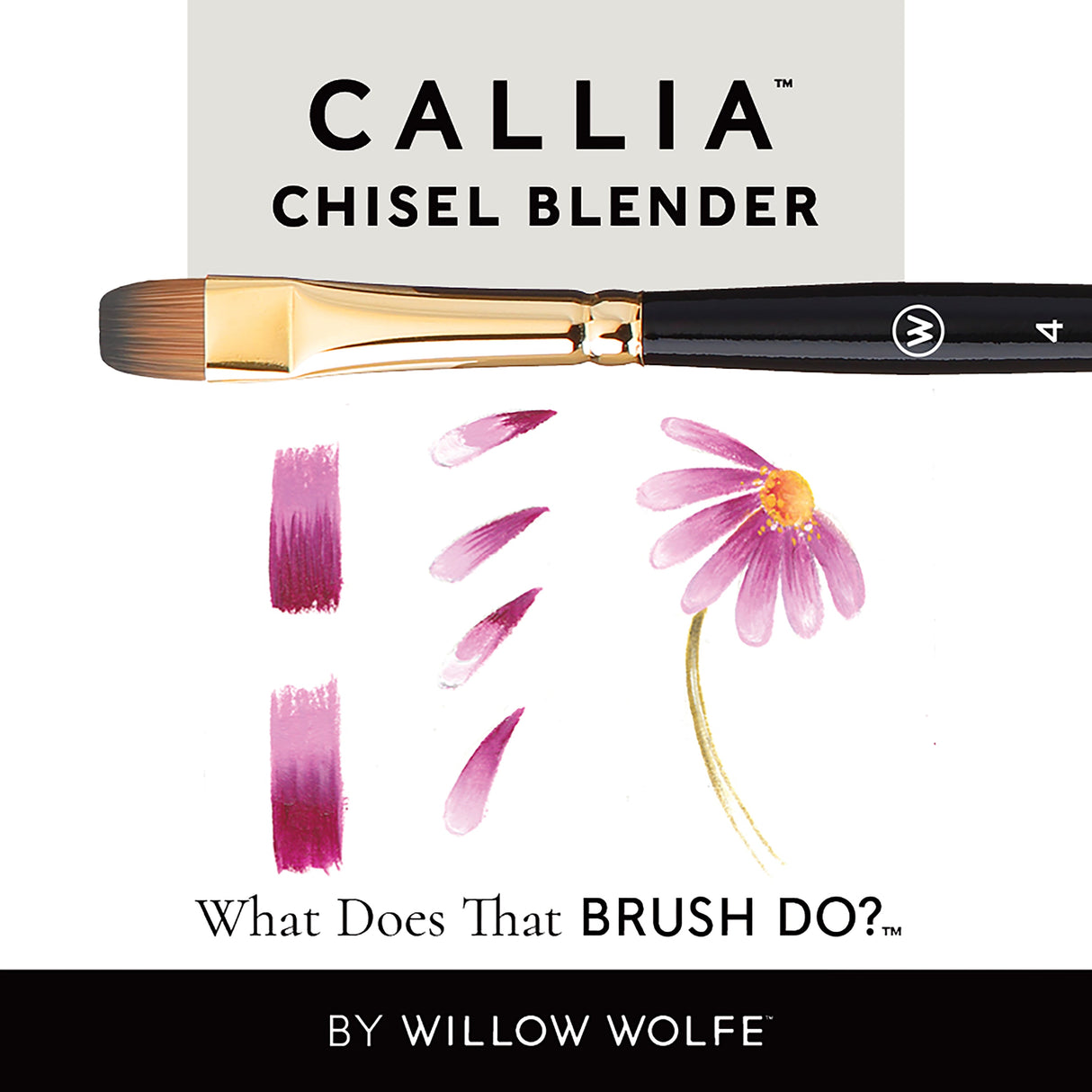 WILLOW WOLFE CALLIA Chisel Blender 0