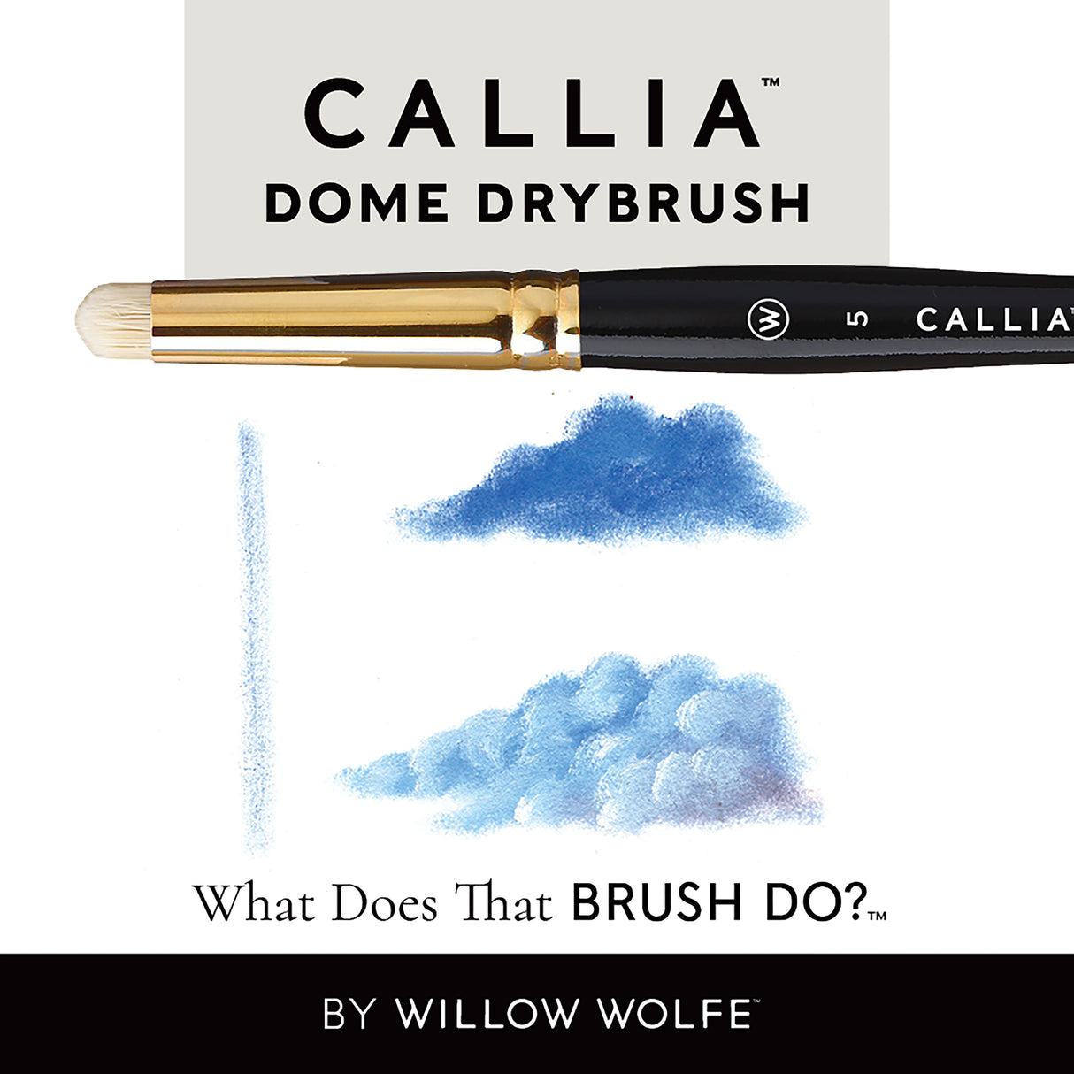 WILLOW WOLFE CALLIA Dome Drybrush 5