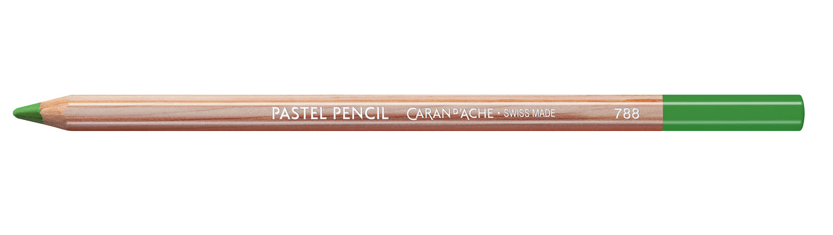 C'D PASTEL PENCIL MID MOSS GREEN 30% (3)