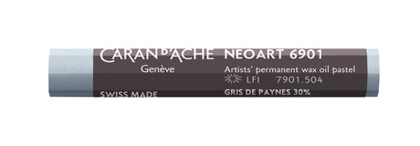 CD NEOART 6901 PAYNE'S GREY(3)