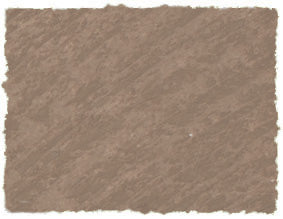 AS SQUARE PASTEL RAW UMBER C