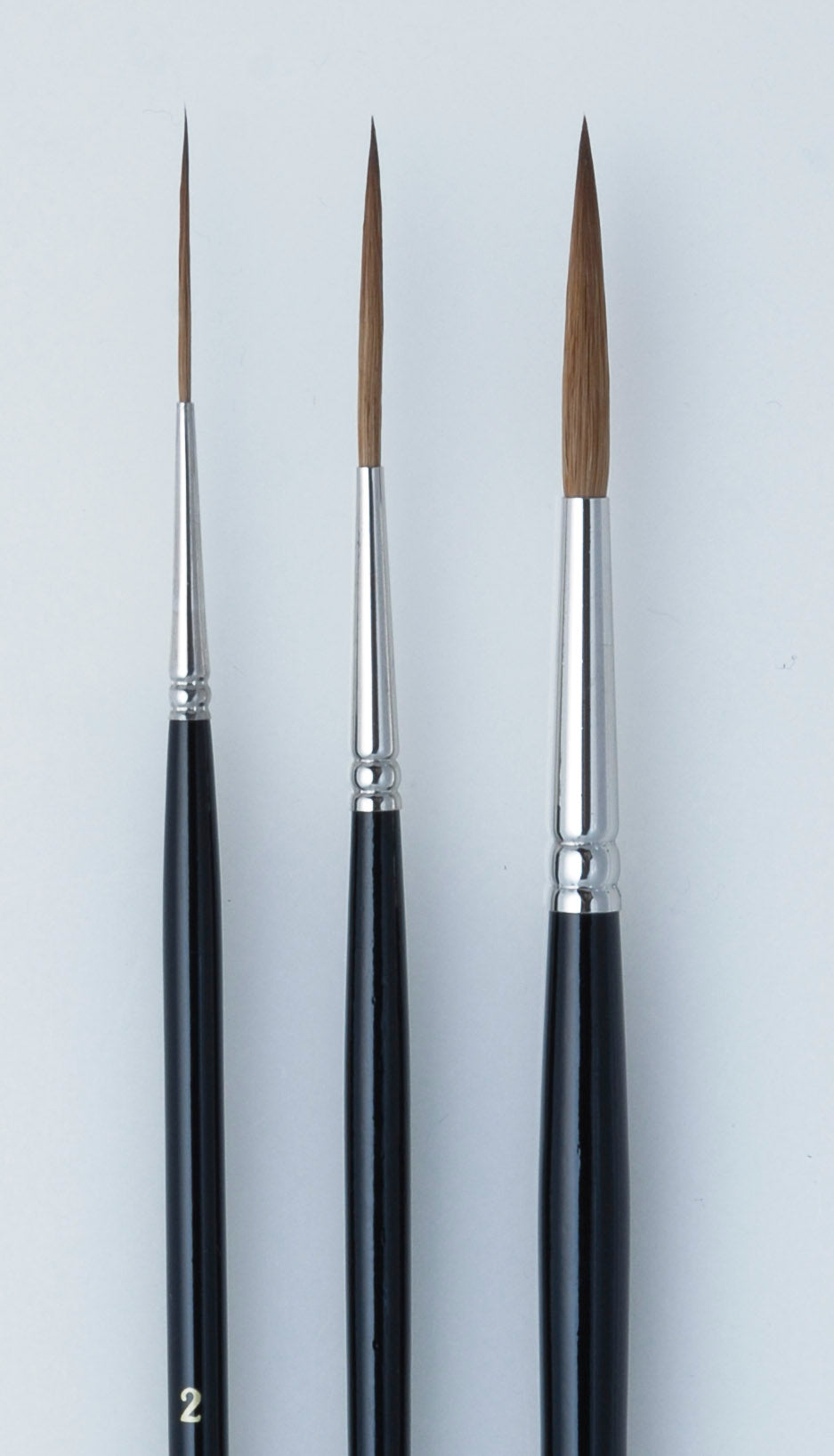 AS PURE SABLE LINER 6