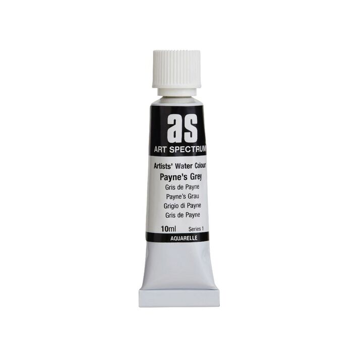 AS W/COL 10ML S1 PAYNES GREY