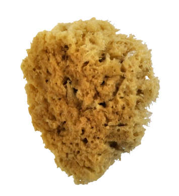 ROYAL 2007 4" SEA WOOL SPONGE